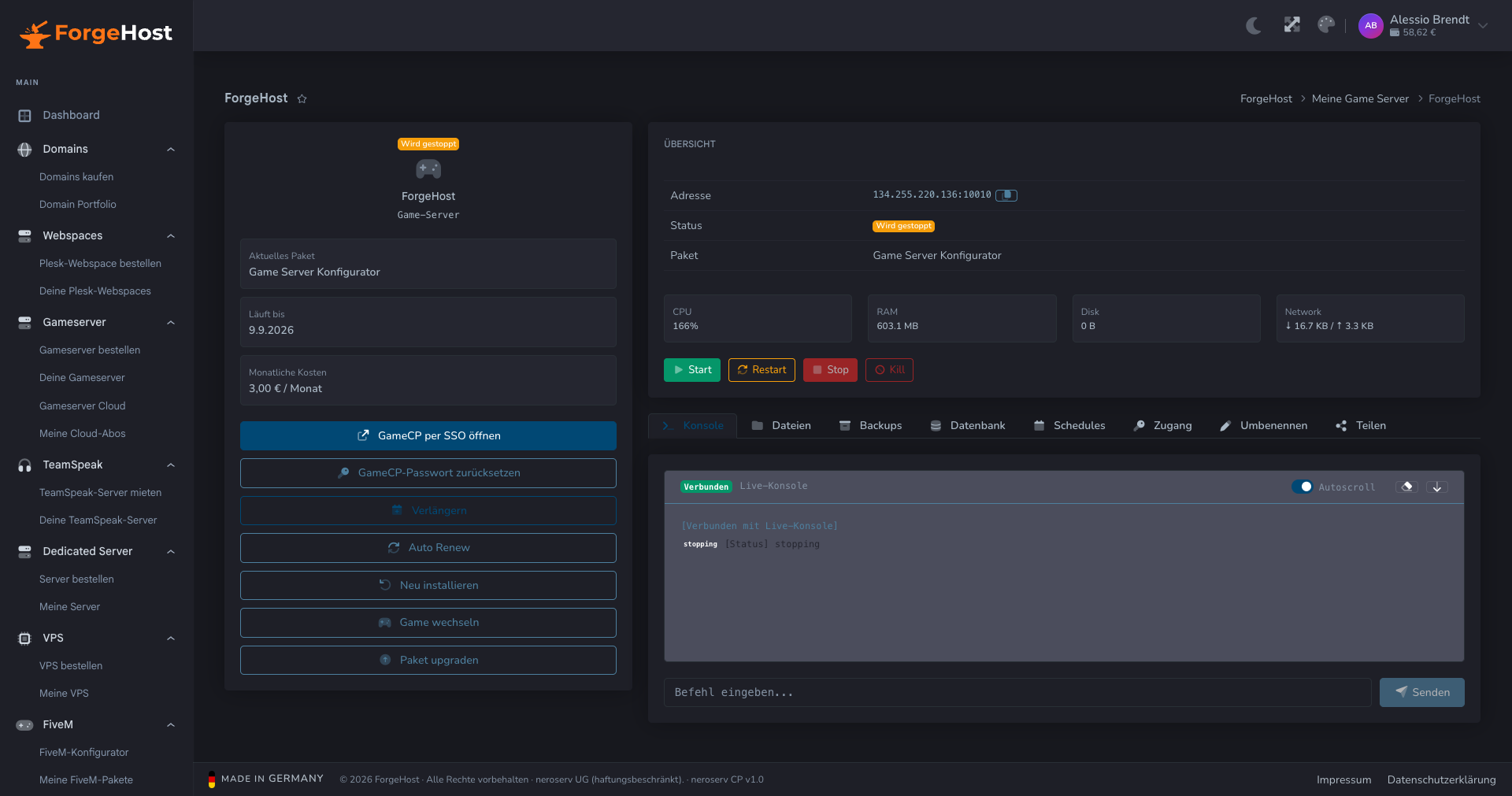 Live-Konsole im ForgeHost Control Panel